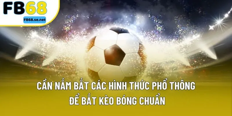 Cần nắm bắt các hình thức phổ thông để bắt kèo bóng chuẩn Cần nắm bắt các hình thức phổ thông để bắt kèo bóng chuẩn