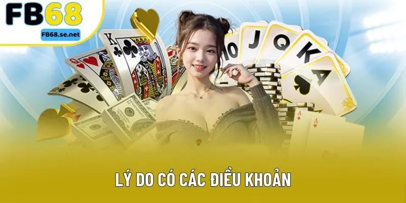 Lý do có các điều khoản