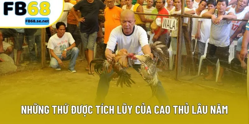 Những thứ được tích lũy của cao thủ lâu năm Những thứ được tích lũy của cao thủ lâu năm