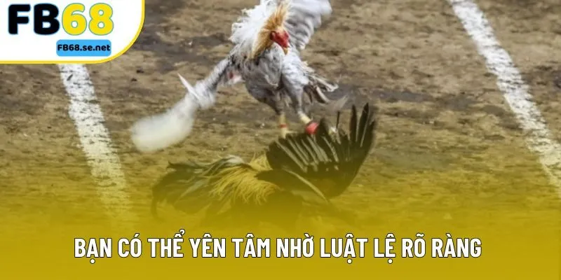 Bạn có thể yên tâm nhờ luật lệ rõ ràng và minh bạch Bạn có thể yên tâm nhờ luật lệ rõ ràng và minh bạch