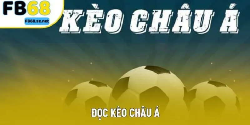 Đọc Kèo Châu Á | Chỉ Dẫn Nhập Môn Chi Tiết Nhất Năm 2025
