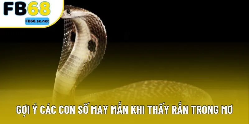 Gợi ý các con số may mắn khi thấy rắn trong mơ