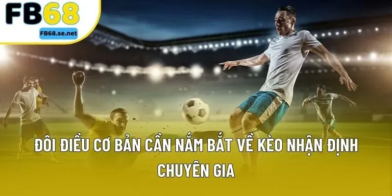 Đôi điều cơ bản cần nắm bắt về kèo nhận định chuyên gia Đôi điều cơ bản cần nắm bắt về kèo nhận định chuyên gia