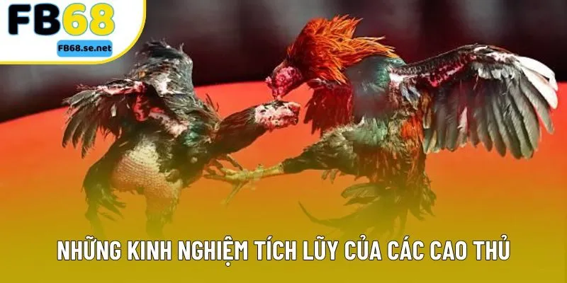 Những kinh nghiệm tích lũy của các cao thủ Những kinh nghiệm tích lũy của các cao thủ